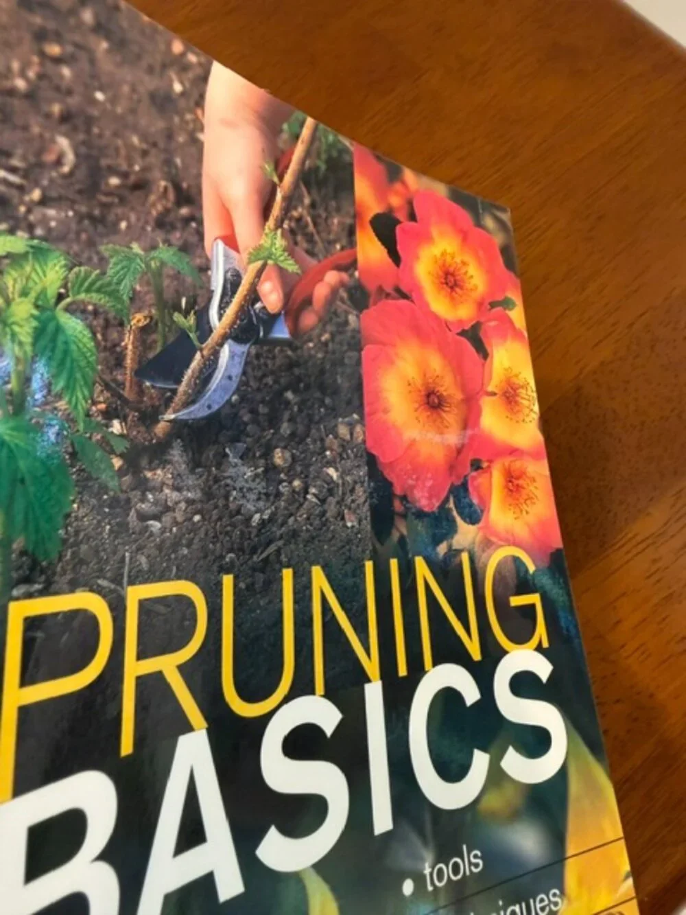 Pruning Basics: Tools Techniques Timing